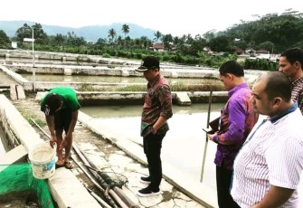 Bupati Lampung Barat H Parosil Mabsus Tinjau Ketersediaan Benih Ikan di Balai Benih Ikan Kecamatan Sumber Jaya 