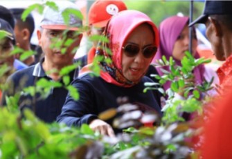 Hj. Winarti Kunjungi Kecamatan Penawar Haji Pastikan 25 Program BMW Berjalan