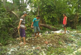 Pemuda Desa Sukolilan Tanam Cabai di Lokasi Tempat Buang Sampah Sembarangan