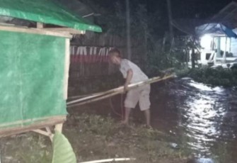 Banjir Landa Dua Desa di Pesawaran