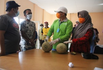Petani Melon dan Tim Tenaga Medis Covid-19 Sampaikan Terima Kasih