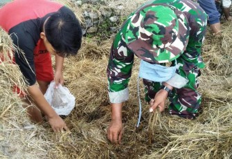Publikasi TMMD Reguler Pekalongan Coba Mengangkat Potensi Budidaya Jamur Merang