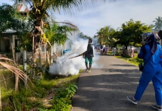Fogging di Desa Nanjungan Kecamatan Pino Raya Kabupaten Bengkulu Selatan 