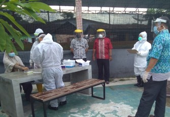 Rapid Test