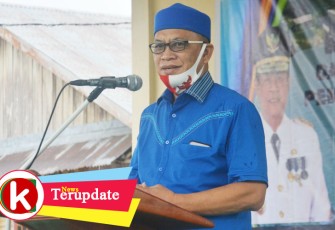 Bupati Lingga Alias Wello