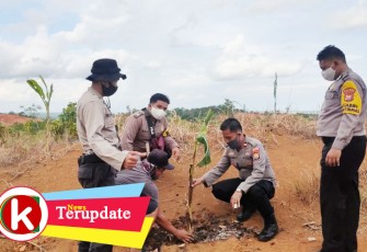 Kapolsek Napal Putih dan Bhabinkamtibmas serta anggota lainnya saat tanam pisang di kebun warga setempat