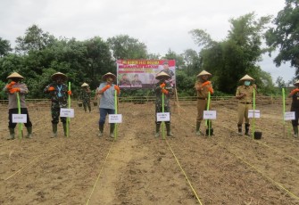 m 143/HO Tanam Jagung dan Tinjau Lokasi TMMD di Kabupaten Kolaka