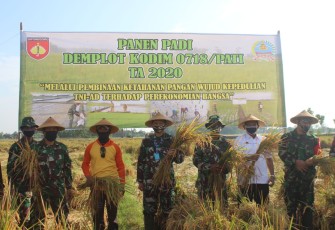 Dandim Pati ikutlangsung panen demlot 