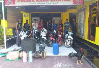 Polsek Kaur Selatan Polda Bengkulu Gerebek Judi Sabung Ayam di Areal Perkebunan Karet