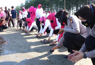 Polwan Bersama Bhayangkari Daerah Bengkulu Lepas Tukik dan Bhakti Sosial di Pantai Pekik Nyaring