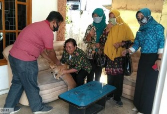 Kepala Dispangtan Kota Bengkulu Syahrul Tamzie Berikan Vaksin 