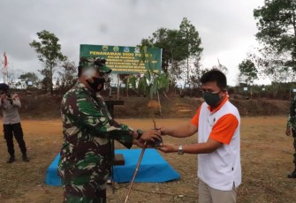 Penyerahan bibit secara simbolis
