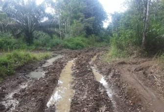 Kondisi Jalan Usaha Tani Desa Setia Budi 