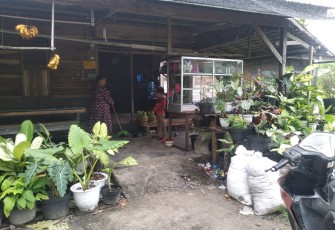 Manfaatkan Waktu Ditengah Pandemi Dengan Bercocok Tanaman Hias