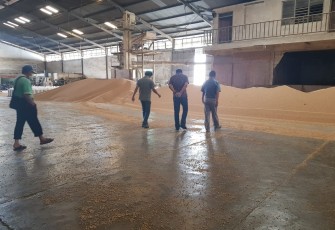 Satgas Pangan Bareskrim Polri sendiri sudah melakukan pengecekan ke gudang-gudang importir kedelai