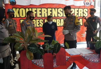 Kabag Ops Polres PurbaIingga Kompol Pujiono dalam konferensi pers, Jumat (29/1/2021) mengatakan bahwa Polsek Kutasari berhasil mengamankan pelaku pencurian tanaman hias berinisial YS (30) warga Desa Limbangan, Kecamatan Kutasari
