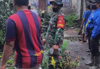 Bhabinsa Ngaglik Sleman bersama warga evakuasi pohon yang tumbang