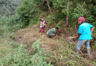 Babinsa Wonodoyo Anggota Koramil 07/Cepogo Kodim 0724/Boyolali Serka Samijo bersama warga Desa wonodoyo dan relawan melaksanakan penanaman pohon Suren di lereng pegunungan sekitar Dukuh Taring Desa Wonodoyo Kecamatan Cepogo, Kabupaten Boyolali  Senin (01/02).