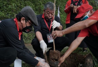 Ketua DPD PDI-P Jatim Tanam Pohon