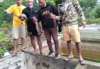mahasiswa Papua ikut pelatihan dan panen ternak lele