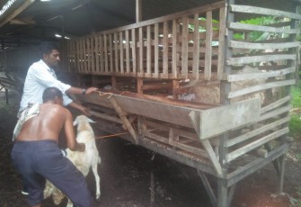 Anggota Komisi-III DPRA Mukhtar Daud