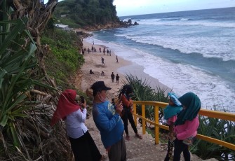 Keindahan Wisata Pantai Pacar Desa Pucanglaban