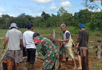 Manunggal Dengan Rakyat, Babinsa 1206 - 01/Embaloh Hilir Bantu Warga Binaan Penancapan Pondasi Rumah.