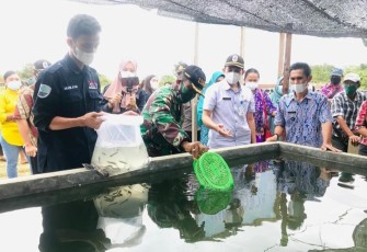 Danramil Bersama Muspika Tabur Ribuan Benih Ikan Air Tawar