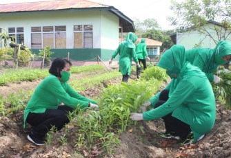 Kebun Skala Rumah Tangga Persit Cabang XLVII Kodim 1203