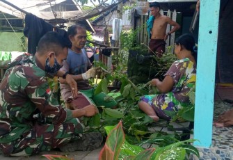 Meningkatkan Perekonomian Warga Babinsa Aktif Dampingi Petani