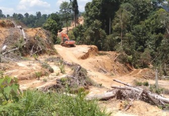 PT Nia Yulided Tidak Berhenti Rusak Hutan, Kebal Terhadap Aturan Moratorium
