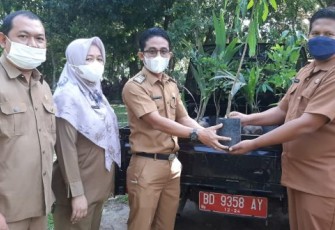 Dukung Penghijauan Kota Merah Putih, Dinas Kominfo Serahkan Bibit Tanaman dan Buah ke DLH