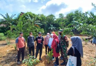 Kelompok Tani RT 3 Kelurahan Jembatan Kecil Jadi Role Model Terkait Pemanfaatan Lahan Pekarangan