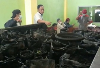 Budidayakan Tanaman Ganja di Dalam Ruko Terduga Pelaku Ditangkap Polisi 
