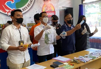 Polres Rejang Lebong Release Ungkap Kasus Ratusan Pohon Ganja dan Puluhan Paket Siap Edar
