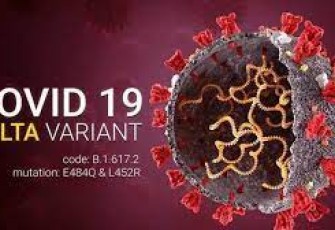Ilustrasi - Covid 19 coronavirus Delta variant Sars ncov 2 2021. 