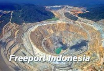  Freeport Indonesia 