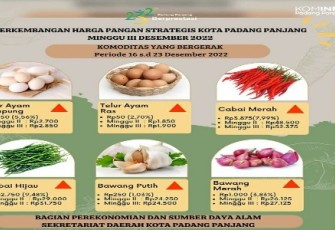 Dinas Kominfo Kota Padang Panjang.