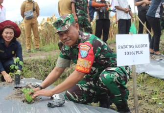 Program Gerakan Nasional Pengendalian Inflasi Pangan 