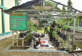  Demplot Kodim 1005/Barito Kuala    