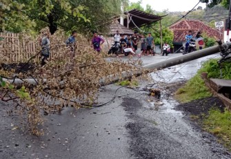 Angin Kencang Rusakkan 15 Rumah Warga Kota Bima, Tidak Ada Korban Jiwa