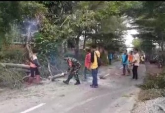 Anggota Koramil Ngrambe Gotong-royong Tebang Pohon Rawan Tumbang