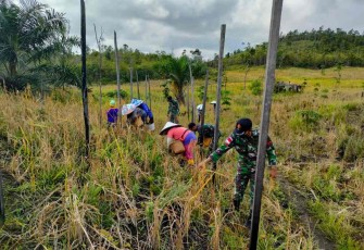 Satgas Perbatasan Jaga Ketahanan Pangan