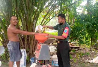 Serka Anwar dampingi petani memaksimalkan hasil panen padinya. Kamis (21/4/22)