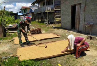 Bantu warga menjemur padi di perbatasan. Kamis (05/05/2022)