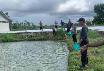 Tebar Pakan melihat perkembangan spot perikanan bapak Simon