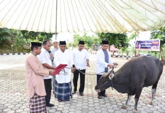 Pangdam Kasuari saat menyerahkan hewan kurban