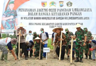 Pangdam V Brawijaya saat tanam jagung di Blitar