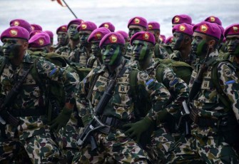 Ilustrasi prajurit Marinir TNI AL