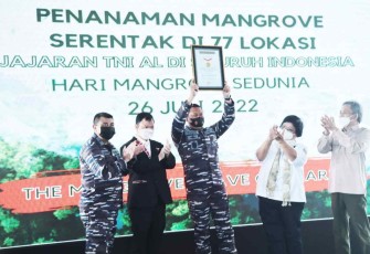 Kasal saat angkat piagam rekor dunia tanam mangrove 